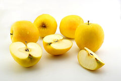 Super Rare Opal Apple Cuttings (Malus domestica ‘Opal’) – 3 Fresh Scions for Rooting, Grafting, Yellow Sweet Crisp Apple