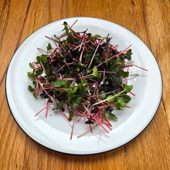 Radish (Confetti Mix)