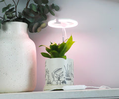 SunBlaster Halo 360 LED Plant Light, w/ USB Adaptor and Timer