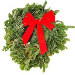22" Fresh Fraser Fir Wreath | Fragrant Holiday Decoration | House Plant Shop