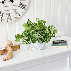 15” Watermelon Peperomia Artificial Plant in White Tin Planter (Real Touch)