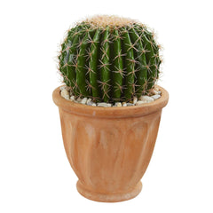 19" Cactus Artificial Plant in Terra Cotta Planter"