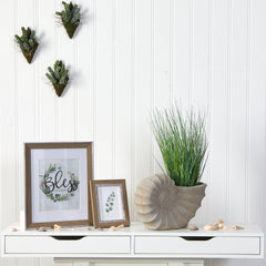 21” Onion Grass Artificial Plant in Shell Shaped Planter