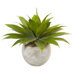 24" Agave in Sand Colored Bowl"