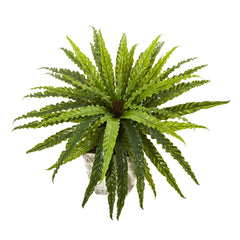 24” Asplenium Artificial Plant in Country White Planter