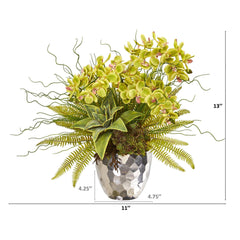 25” Phalaenopsis Orchid, Succulent and Fern Artificial Arrangement in Silver Vase