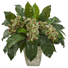 26” Phalaenopsis Orchid and Fern Plant in White Planter