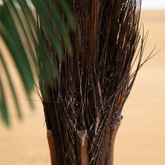 3’ Cycas Palm Tree UV Resistant (Indoor/Outdoor)