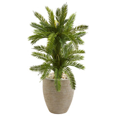 3’ Double Cycas Artificial Plant in Sand Colored Planter