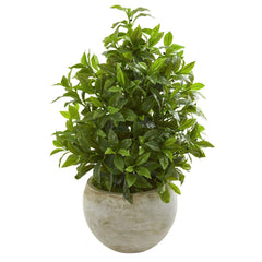 30” Coffee Leaf Artificial Plant in Sandstone Bowl (Real Touch)