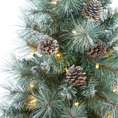 3.5’ Frosted Tip British Columbia Mountain Pine Artificial Christmas Tree