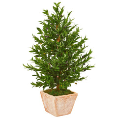 35” Olive Cone Topiary Artificial Tree in Terra Cotta Planter (Indoor/Outdoor)