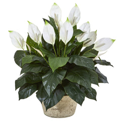 35” Spathifyllum Artificial Plant in White Planter