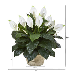 35” Spathifyllum Artificial Plant in White Planter