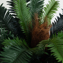 4' Sago Silk Palm Tree