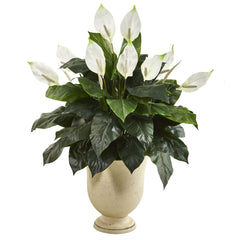 43” Spathifyllum Artificial Plant in White Urn