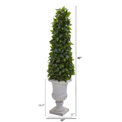 45” Sweet Bay Cone Topiary Artificial Tree in Decorative Gray Urn