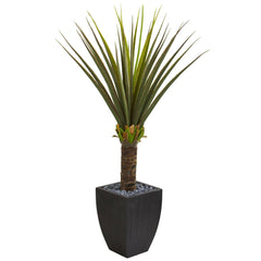 5' Agave Artificial Plant in Black Planter