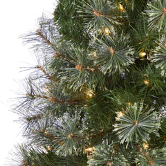 5' Cashmere Slim Artificial Christmas Tree with 250 Warm White Lights and 408 Bendable Branches