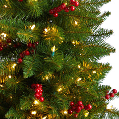 5' Colorado Aspen Pre-Lit Porch Artificial Christmas Tree