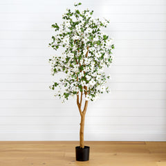 5' Dogwood Silk Tree