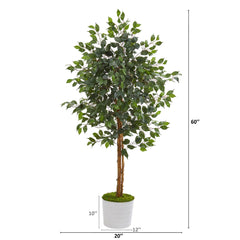 5’ Ficus Artificial Tree in White Tin Planter
