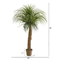 5’ Molina Artificial Plant