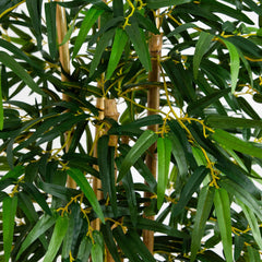 5' Multi Bambusa Bamboo Silk Tree