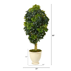 5' Schefflera Artificial Tree in Decorative Urn (Real Touch)