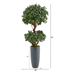 51” Sweet Bay Double Ball Topiary Artificial Tree in Gray Planter