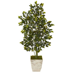 52” Ficus Artificial Tree in Country White Planter