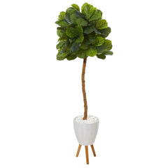 5.5’ Fiddle Leaf Artificial Tree in White Planter with Stand (Real Touch)
