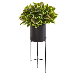 55” Rubber Leaf Artificial Plant in Black Planter with Stand (Real Touch)