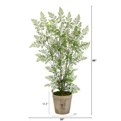 5.5’ Ruffle Fern Artificial Tree in Farmhouse Planter