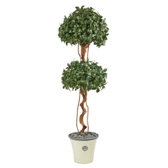 5.5’ Sweet Bay Double Ball Topiary Artificial Tree in Decorative Planter