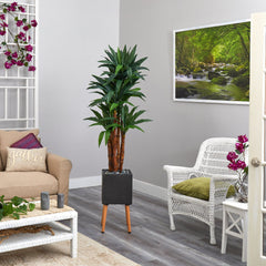 6’ Dracaena Artificial Tree in Black Planter with Stand