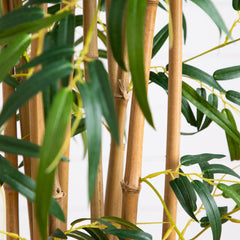 6' Fancy Style Slim Bamboo Silk Tree