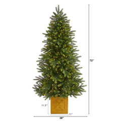 6' Manchester Fir Artificial Christmas Tree in Decorative Planter with 350 Clear Warm (Multifunction) LED Lights and 504 Bendable Branches