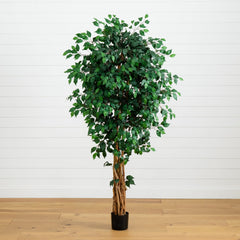 6' Palace Style Ficus Silk Tree