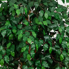 6' Palace Style Ficus Silk Tree