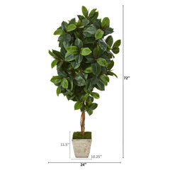 6’ Rubber Leaf Artificial Tree in Country White Planter