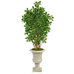 63” Black Olive Artificial Tree in Sand Finished Urn