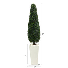 63” Boxwood Topiary Artificial Tree in Tall White Planter(Indoor/Outdoor)