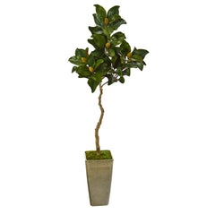 63” Magnolia Artificial Tree in Green Planter