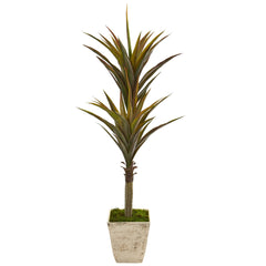 63” Yucca Artificial Tree in Country White Planter