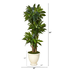 64” Corn Stalk Dracaena Artificial Plant in Urn Planter (Real Touch)