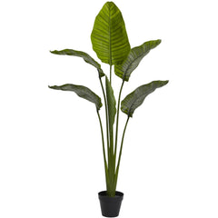 64” Traveler's Palm Tree UV Resistant (Indoor/Outdoor)