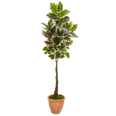 67” Variegated Rubber Leaf Artificial Tree in Terra-Cotta Planter (Real Touch)