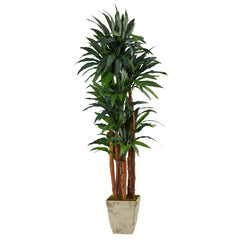 69” Dracaena Artificial Tree in Country White Planter