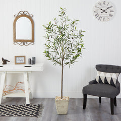 75” Olive Artificial Tree in Country White Planter